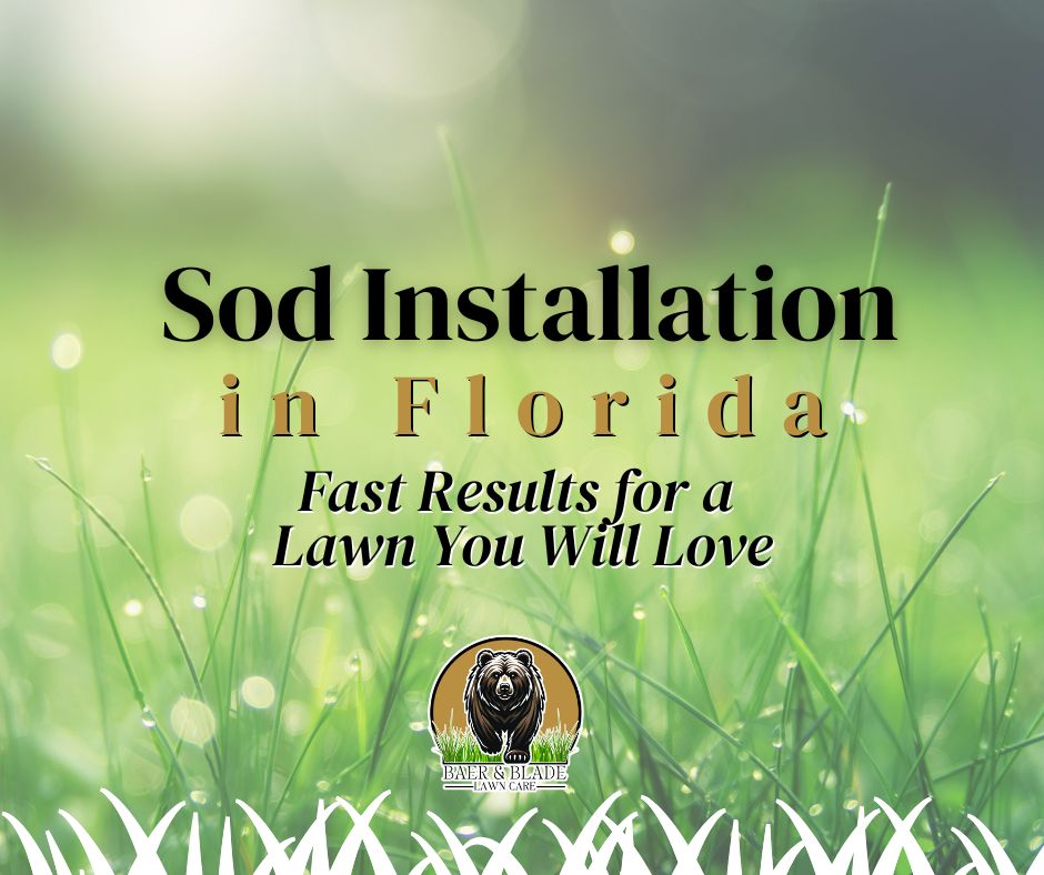 Blog Post graphic for the article on Sod Installation in Florida for Baer and Blade Lawn Care.