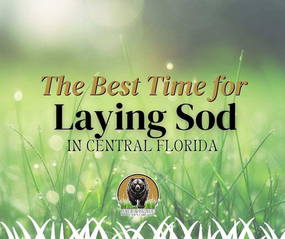 Featured branded image for the best time for laying sod in Central Florida.