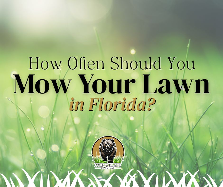 A Branded blog ppsot image for how often you should mow your lawn in Florida.