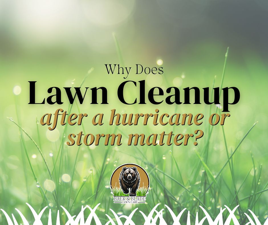 Why Does Lawn Cleanup After a Hurricane or Storm Matter? featured branded image.