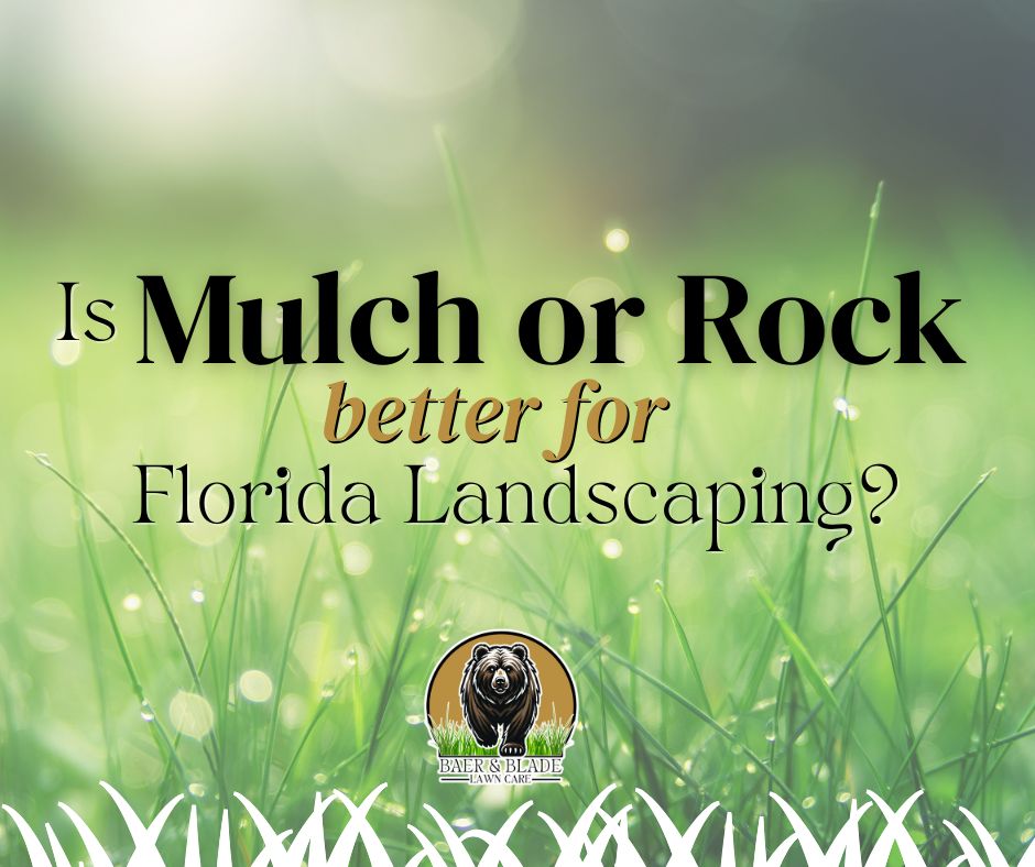 A banded grass image for the Mulch or Rock blog post by Baer & Blade.